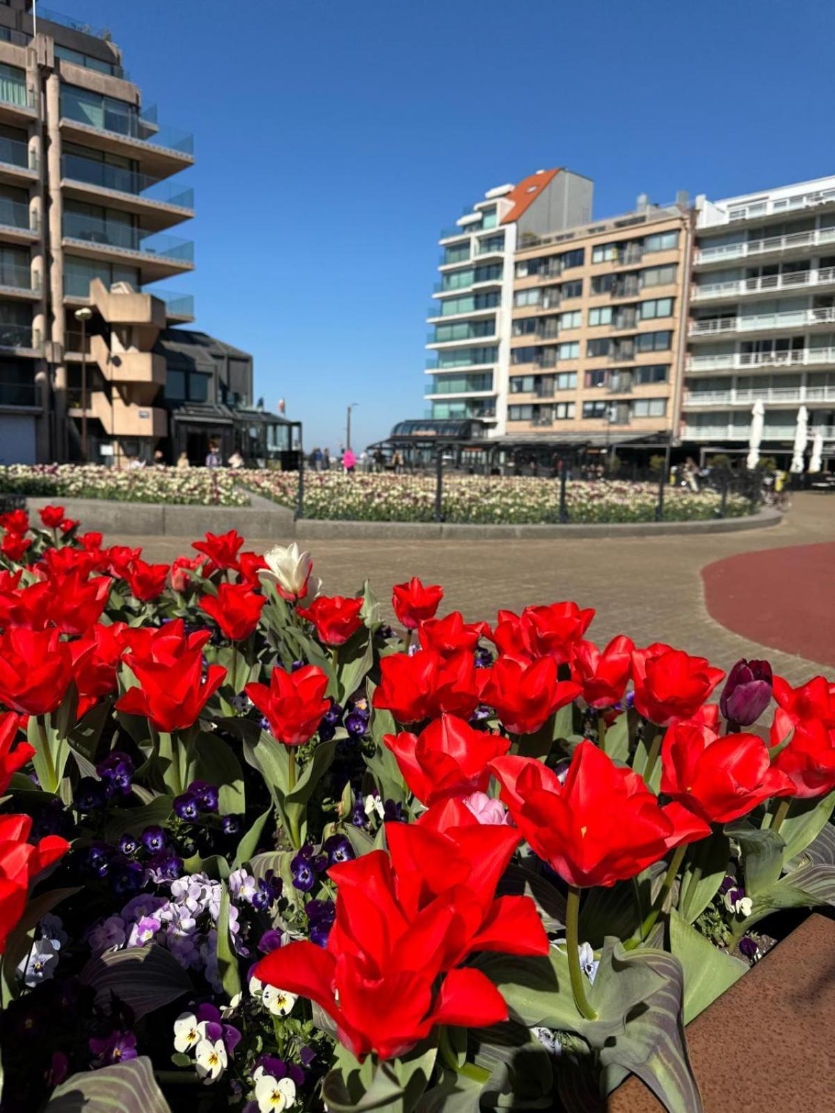 Luxe Studio/Suite Met Zeezicht En Volle Zon Knokke-Heist Bagian luar foto