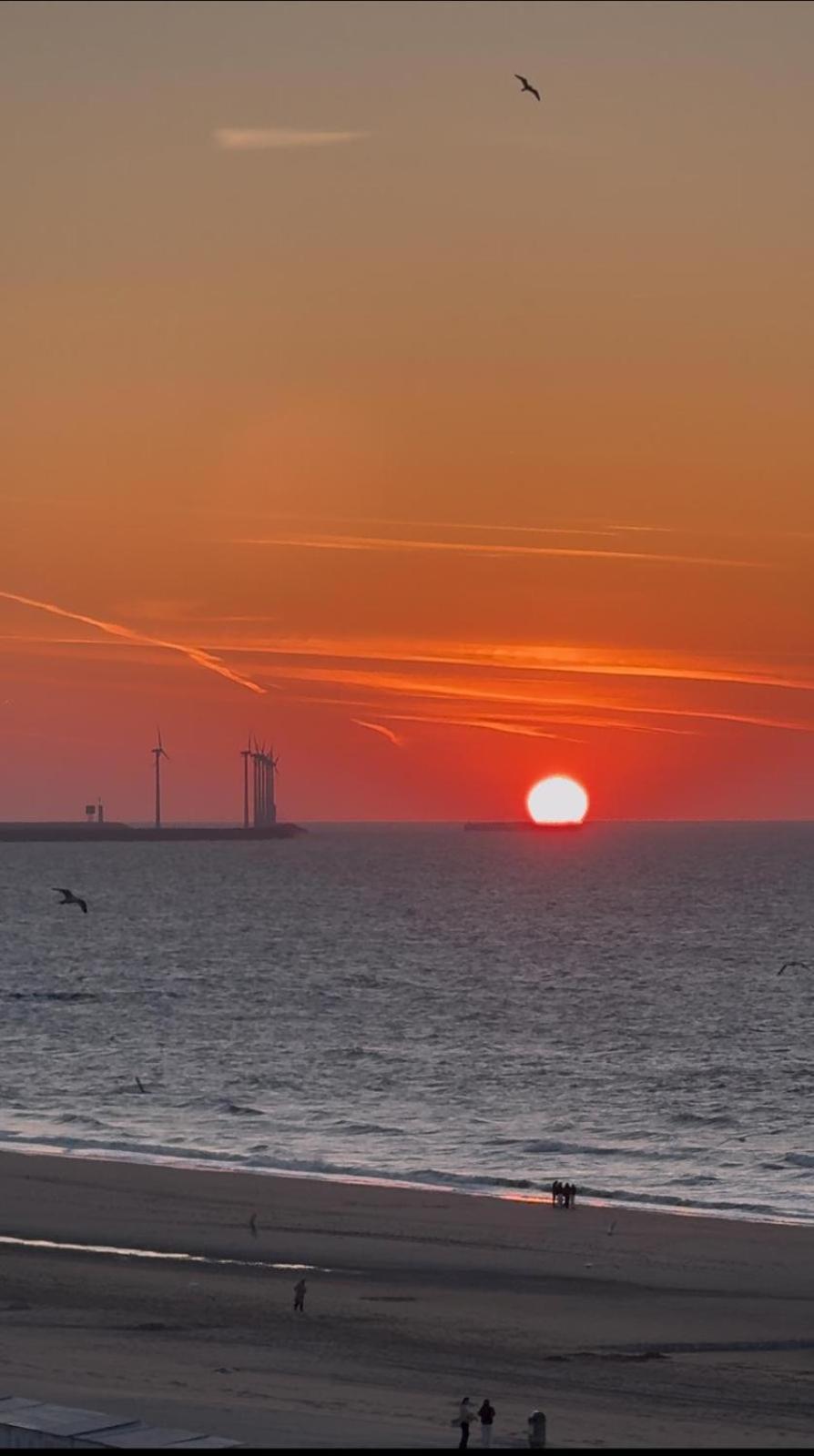 Luxe Studio/Suite Met Zeezicht En Volle Zon Knokke-Heist Bagian luar foto